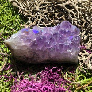Angel Aura Amethyst Cluster crystal on matrix